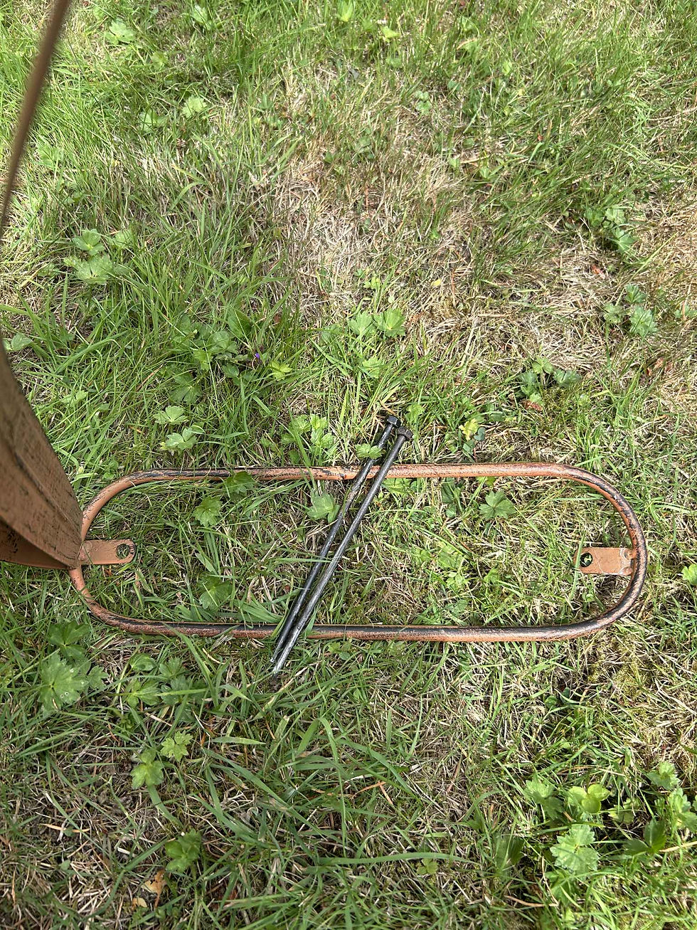 Thumbnail: Dragonfly Sculpture