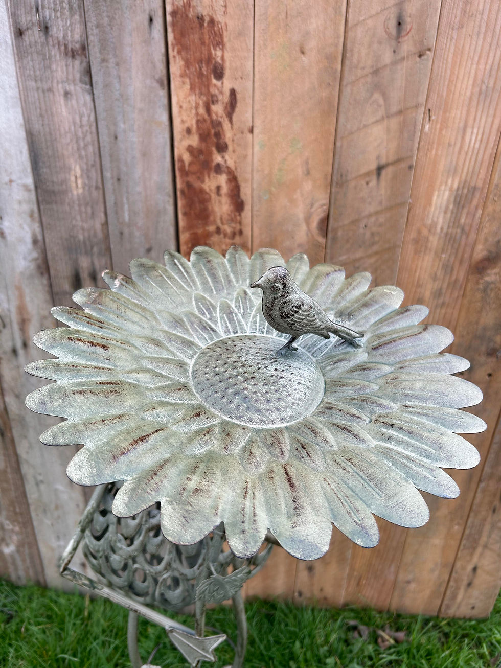 Thumbnail: Toby The Toad Bird Feeder