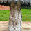 Thumbnail: Set Of 3 Rustic Toadstools