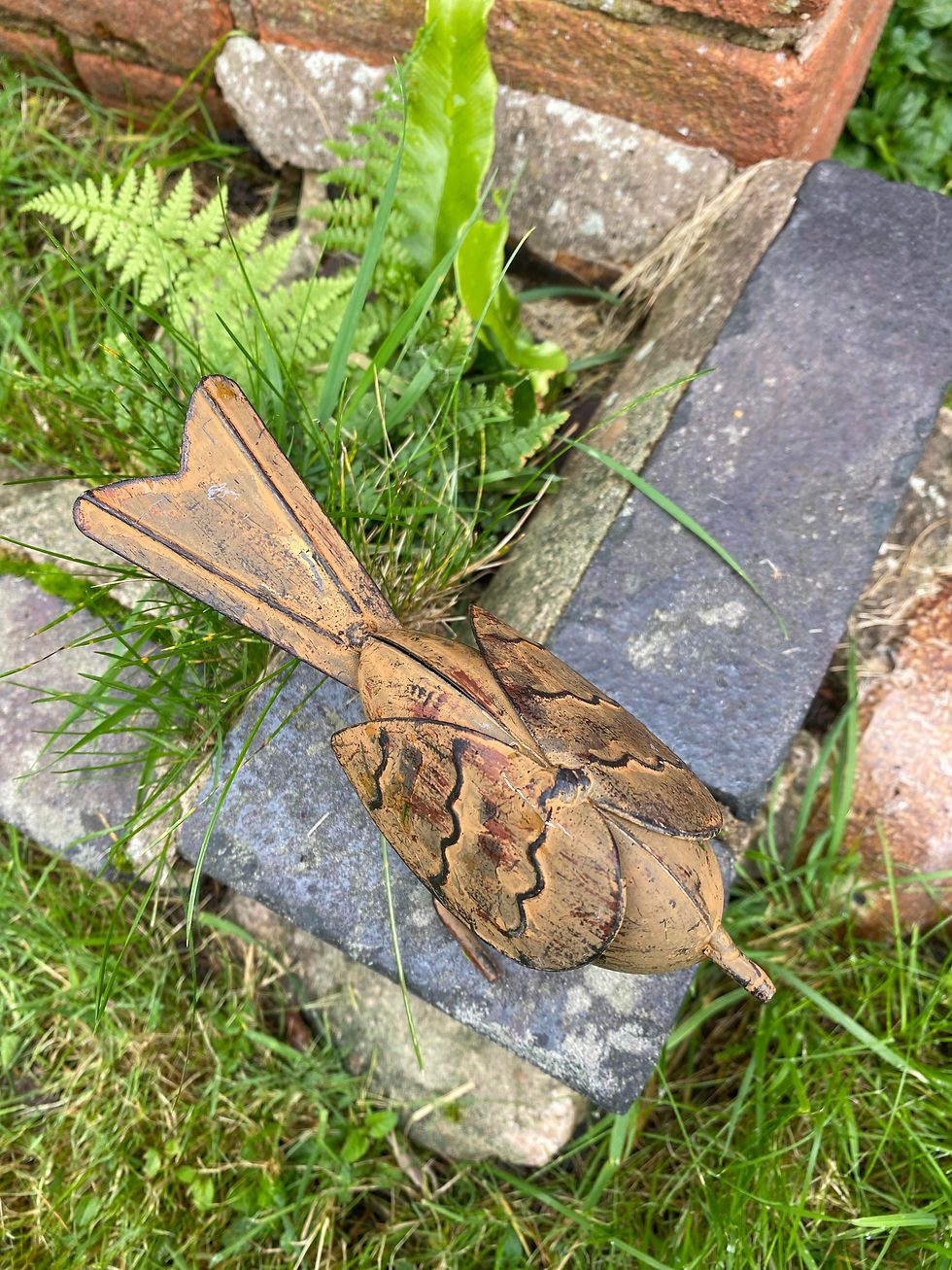 Thumbnail: When A Robin Appears, Loved Ones Are Near