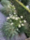 image4.jpg