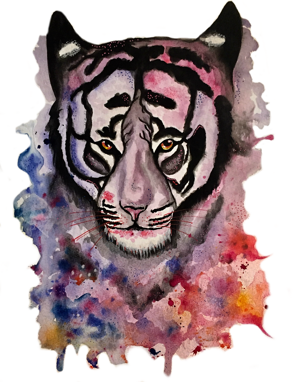 tiger