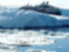 Ponant Cruises cruise ship in Antarctica