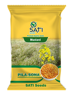 mustard yellow balck packing-02.png