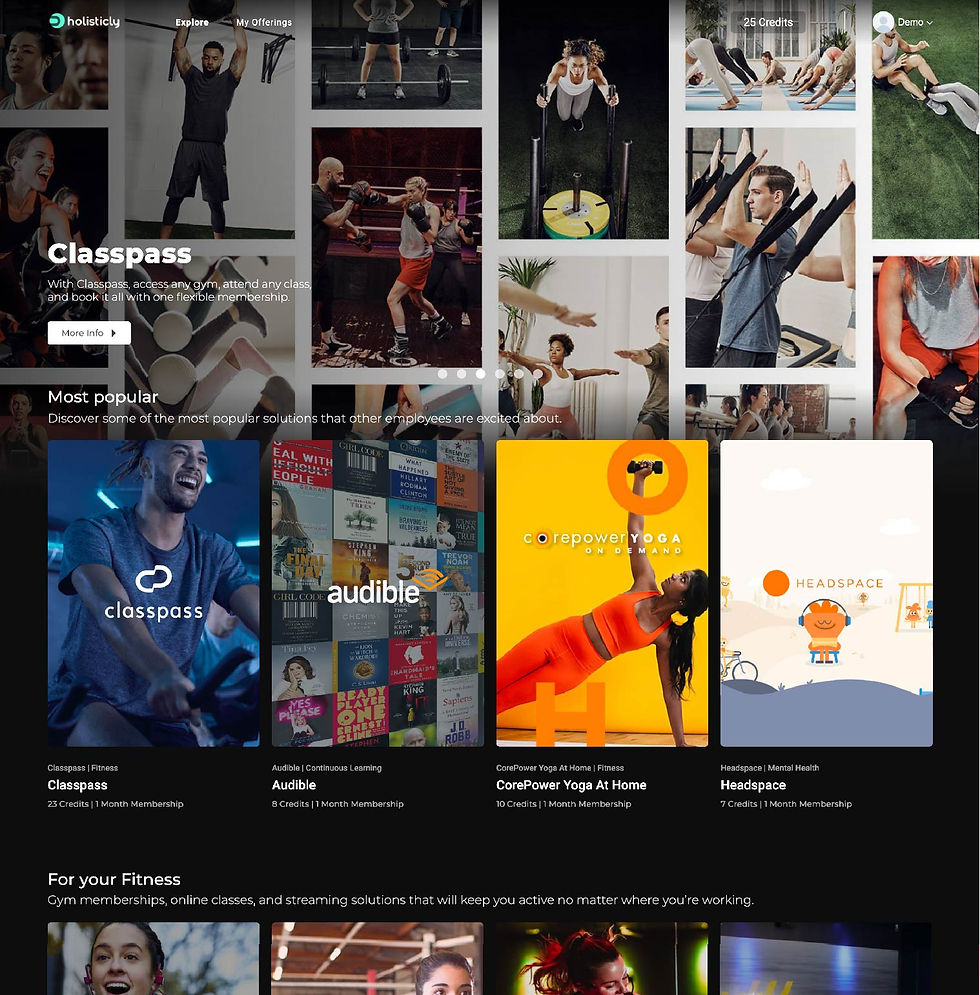 Holisticly Platform - Employee View