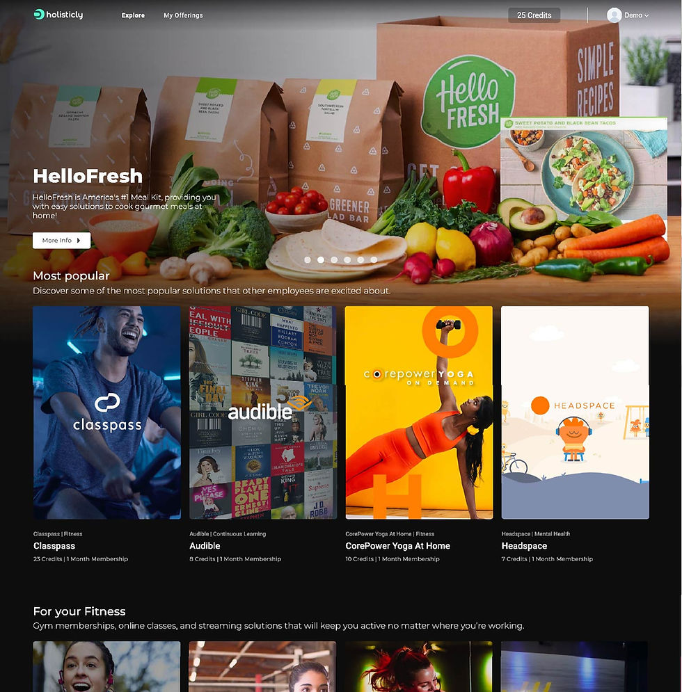 Holisticly Platform - Employee View