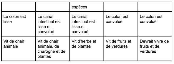 omnivore-carnivore-herbivore-vegetarien