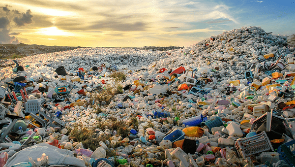 perturbateur endocrinien plastique