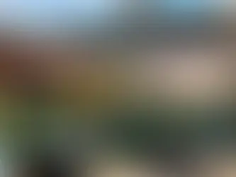 CAN YOU LEAVE A SHADE SAIL UP ALL YEAR?