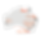 Australia Map 2024 (2).png