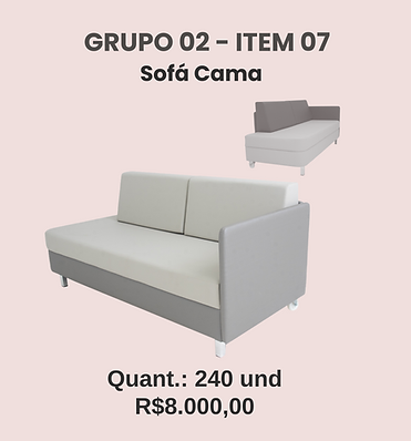 Cópia de Atas - Novo Arquivo - Juliana (Limpeza) (7).png