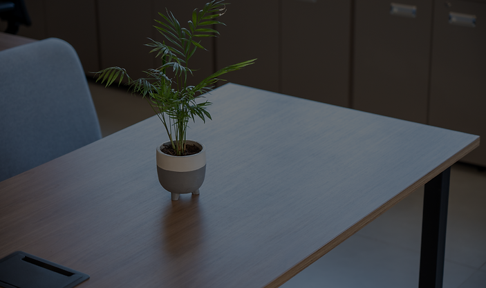 assentos e mobiliários_Prancheta 1 cópia_Prancheta 1 cópia.png