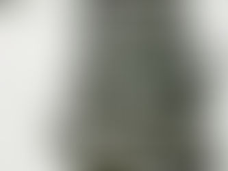 ZIMA
