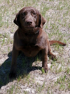 20200411-133645.JPG