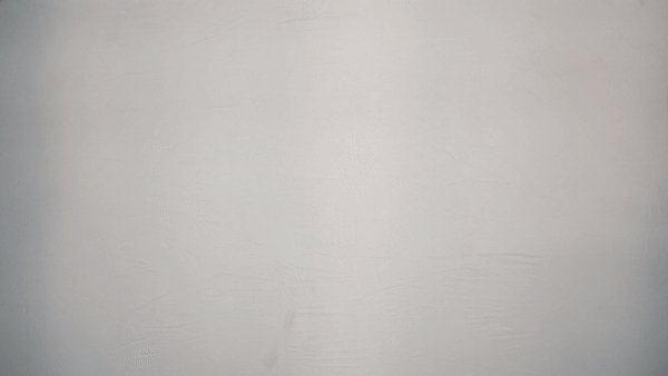 Brice.gif