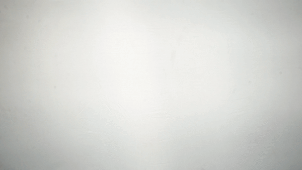 Hugo.gif