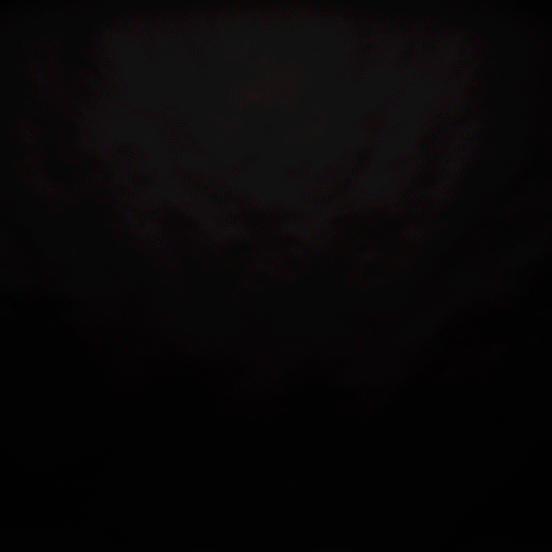 Annabelle_carré.gif