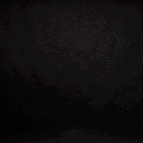 PAG carré.gif