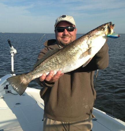 Angler holding large speckled trout caught near Pelican's View Lodge fishing camp, Cocodrie LA