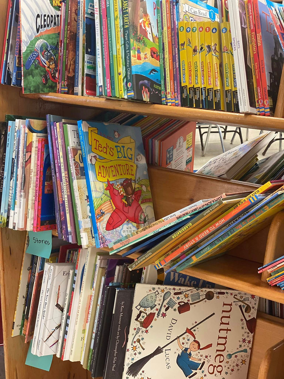Summer Reading Program and the benefits of re-reading the favorites.