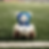 55.png
