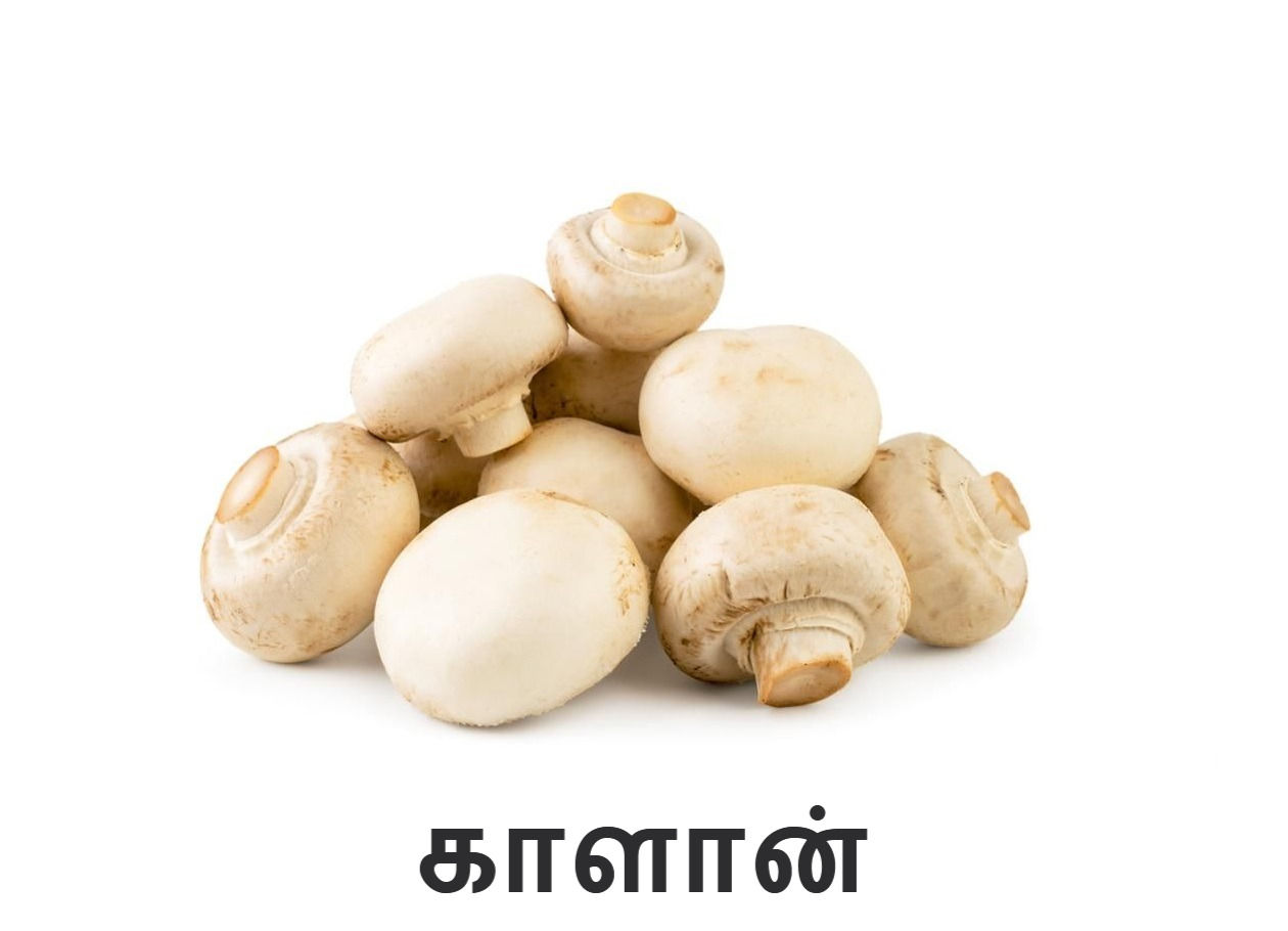 Mushroom / Kalan 200g