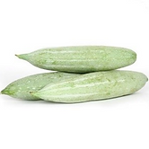 Snake Gourd1.png