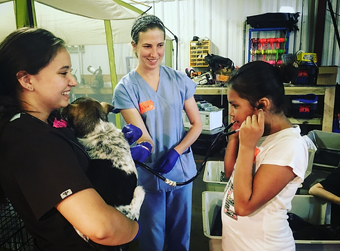 Screen Shot 2022-03-14 at 2.03.04 PM.png