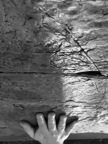 IMG-7788_800 dpi low resolution .png