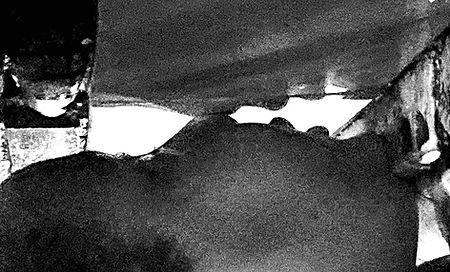 IMG-6855_800 dpi.jpg