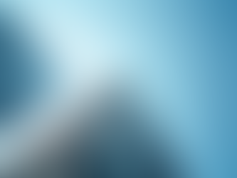 Centralized Oversight for Subsidiary Asset Protection