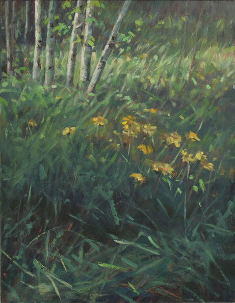 Oil landscape painting of summer sunlit grasses and wildflowers by Canadian landscape painter, Cindy Bouwers