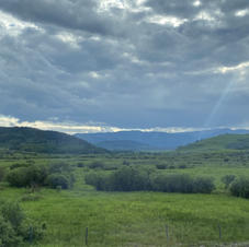 IMG_1540.jpeg