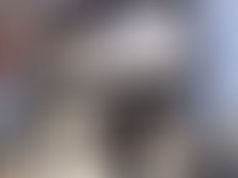 賃貸物件の新着情報