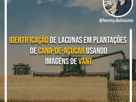 IDENTIFICAÇÃO DE LACUNAS EM PLANTAÇÕES DE CANA-DE-AÇÚCAR USANDO IMAGENS DE VANTS