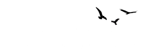 Van Escapes Logo