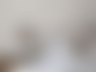 Our Favorite White Paint Colors