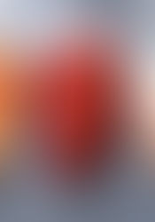 Qual carne tem mais proteína?