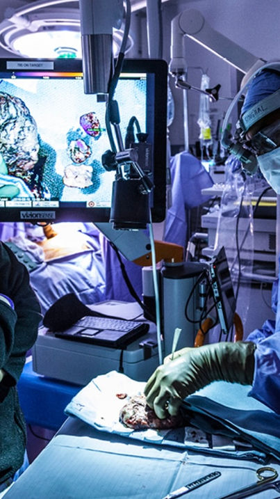 Por que novas descobertas no tratamento do câncer estão proliferando