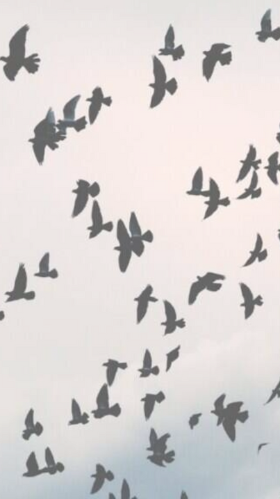 Liberação emocional como um ritual diário