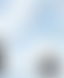 Como gerencio a incerteza