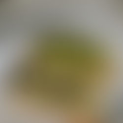 Tofu repleto de proteínas