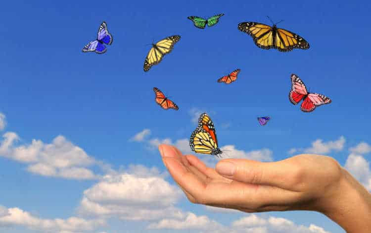 poder dos pensamentos