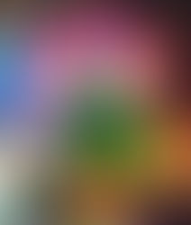 Por que os médicos estão defendendo cuidados holístico para pacientes com câncer ?