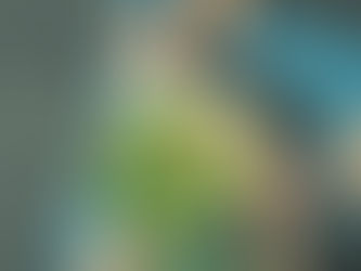 O seu relacionamento com a comida é feliz?