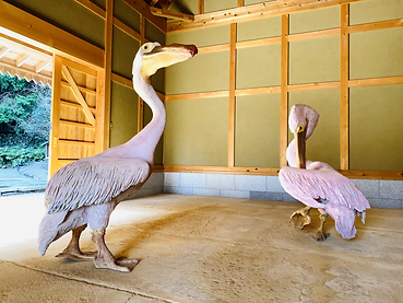 別館「常設展」.jpg