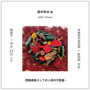 想像表象としての人体の不思議..png