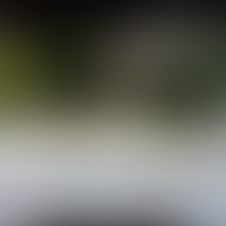 【イベント】宮嶋哉行 バイオリン LIVE