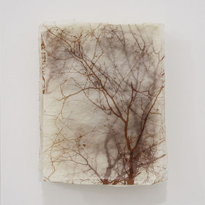 【1F】小塚康成 展