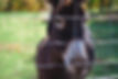 ariane.jpg